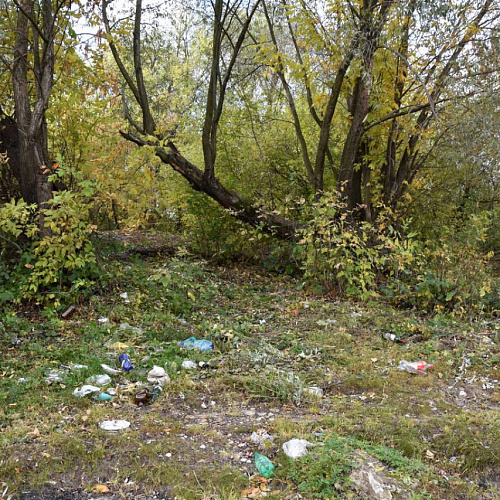 Марафон "Чистые Берега" в Рязанской области