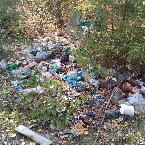 Марафон "Чистые Берега" в Кировской области