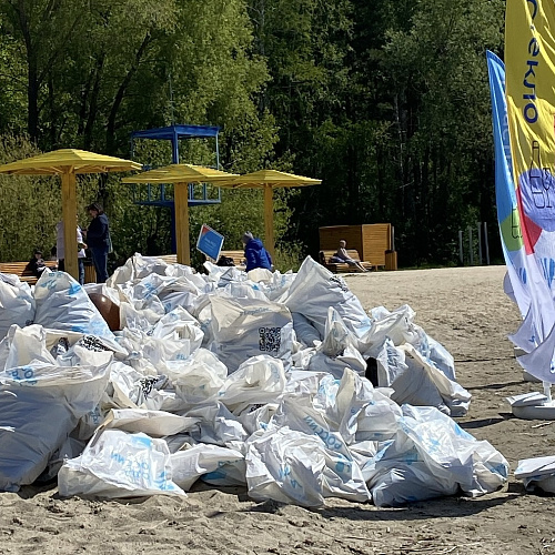 Челябинск, Шершни , 25.05.2024