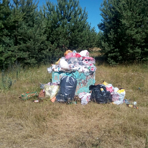 Марафон "Чистые Берега" в Рязанской области