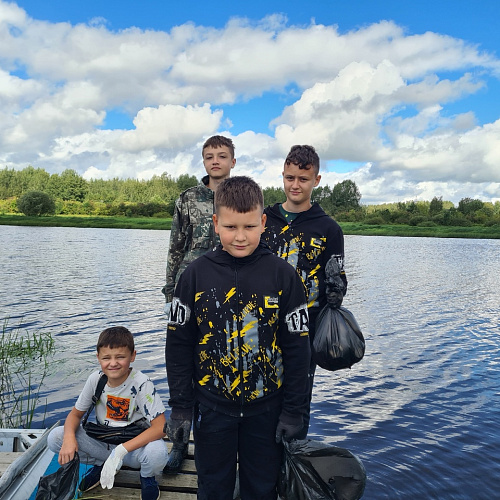 деревня Савино Новгородского района Новгородской области, река Вишера, 25.08.2024