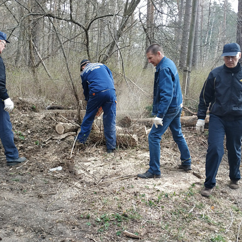 Марафон "Чистые берега" в Смоленской области