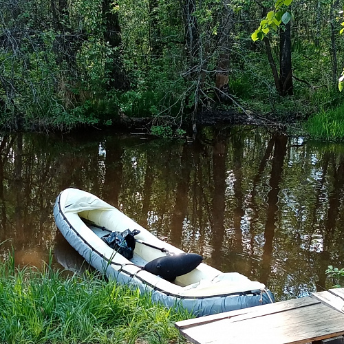 Санкт-Петербург, река Каменка, 22.05.2021