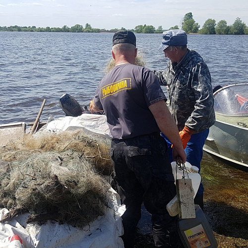 Акция "Вода России" в Костромской области