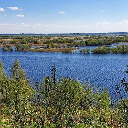 Приводино , Северная Двина,залив Курья, 27.08.2021